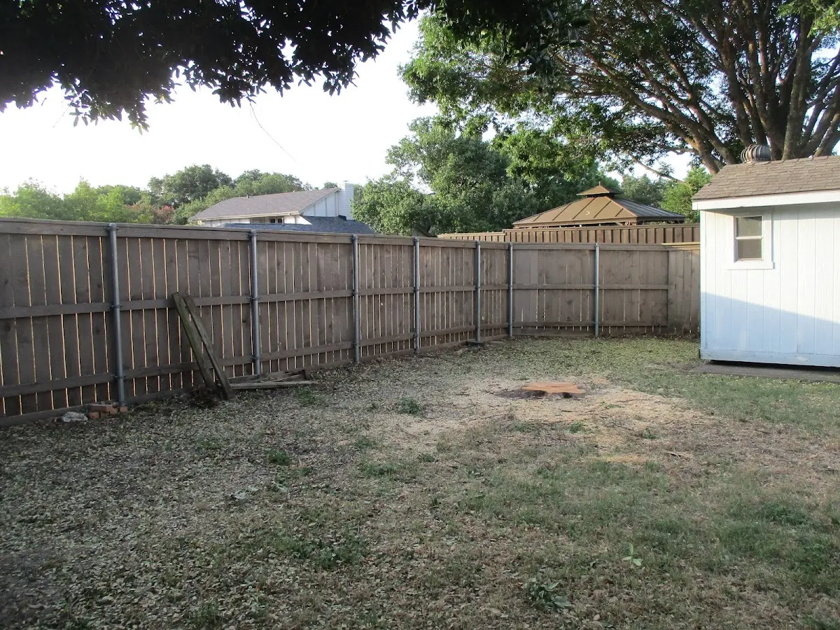 Cleared yard after professional tree removal in North Bonneville